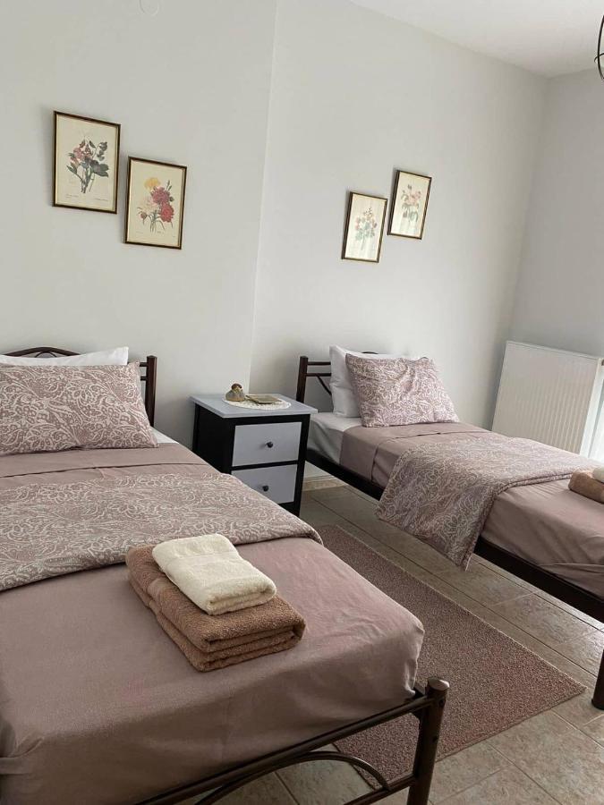פטולמאידה Polys Apartment And Paraskevi Studio With View מראה חיצוני תמונה